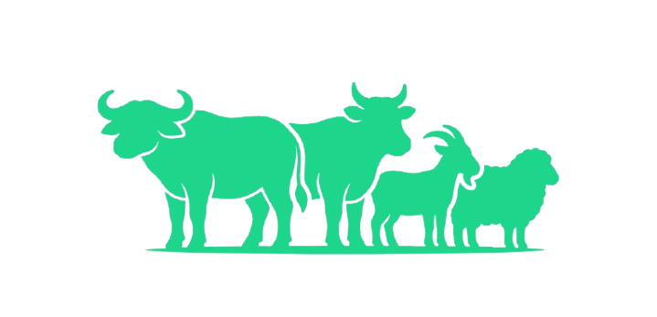 Livestock Loan